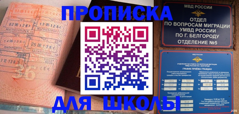прописка иностранных граждан в Люберцах